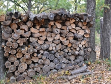 Layers of wood to feed the fire